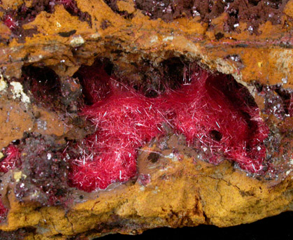 Cuprite var. Chalcotrichite from Bisbee, Warren District, Cochise County, Arizona