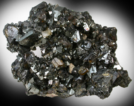 Tetrahedrite on Sphalerite from Cavnic Mine (Kapnikbanya), Maramures, Romania