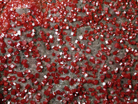 Vanadinite from Apache Mine (Vanadium Shaft), 8 km north of Globe, Gila County, Arizona