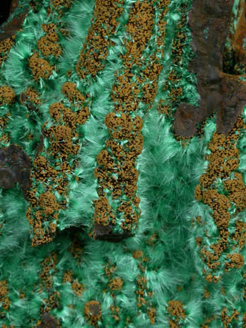 Malachite from Bisbee, Warren District, Cochise County, Arizona