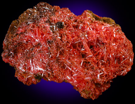 Crocoite from Dundas, Tasmania, Australia