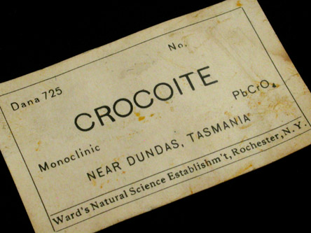 Crocoite from Dundas, Tasmania, Australia