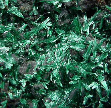 Malachite from Bisbee, Warren District, Cochise County, Arizona