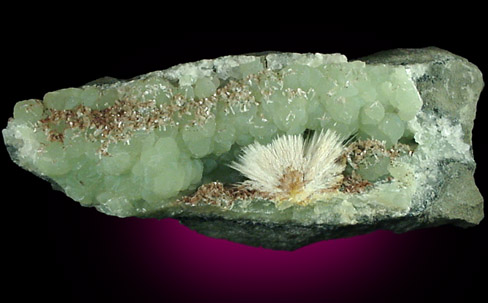 Thomsonite on Prehnite from New Street Quarry, Paterson, Passaic County, New Jersey