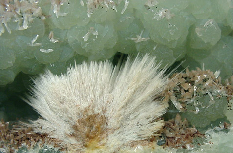 Thomsonite on Prehnite from New Street Quarry, Paterson, Passaic County, New Jersey