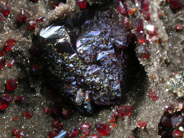 Sphalerite var. Ruby Blende with Chalcopyrite from Tri-State Lead-Zinc Mining District, Baxter Springs, Cherokee County, Kansas