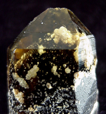 Cookeite in Smoky Quartz from Australia