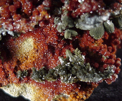 Descloizite pseudomorphs after Vanadinite from Commercial Mine, Georgetown District, Grant County, New Mexico