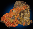 Crocoite from Dundas, Tasmania, Australia