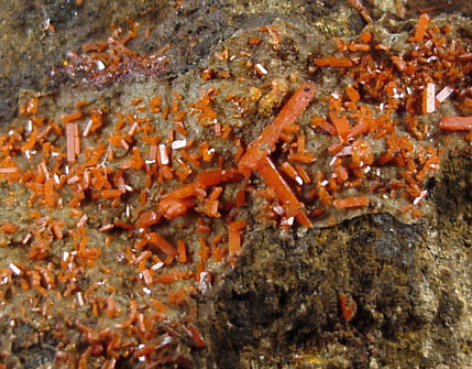 Crocoite from Dundas, Tasmania, Australia