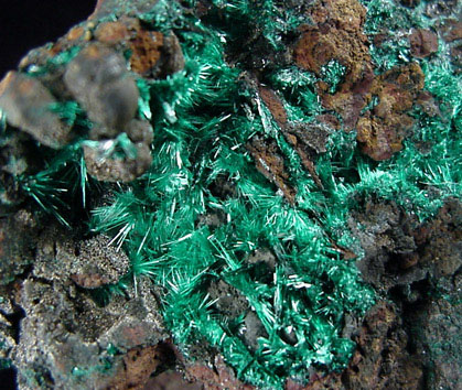 Brochantite from Potrerillos, Cordillera Domeyko, Atacama, Chile