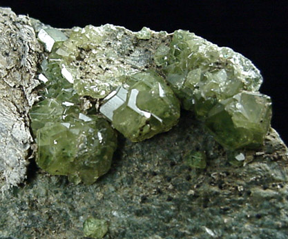 Andradite var. Demantoid Garnet from Val Malenco, Sondrio, Italy