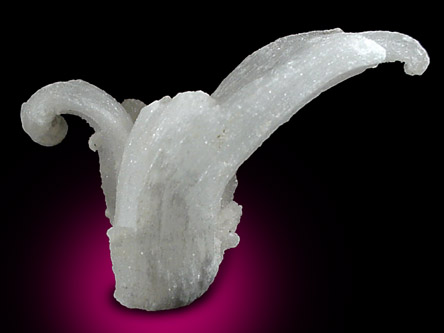 Gypsum var. Rams Horn from Mariposa Mine, Brewster County, Texas