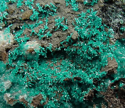 Dioptase from Ray Mine, Mineral Creek District, Pinal County, Arizona