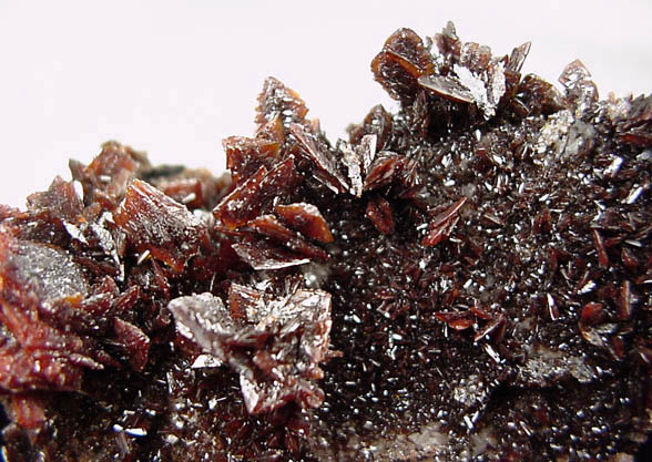 Descloizite from Berg Aukas Mine, 16 km ENE of Grootfontein, Otavi Mountain Land, Namibia