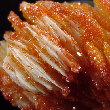 Vanadinite on Barite from Mibladen, Morocco