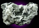 Natrolite with Calcite, Prehnite from Millington Quarry, Bernards Township, Somerset County, New Jersey