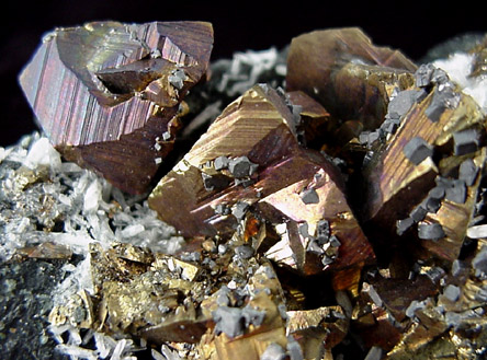 Chalcopyrite and Galena from Daly-Judge Mine, Park City, Summit County, Utah