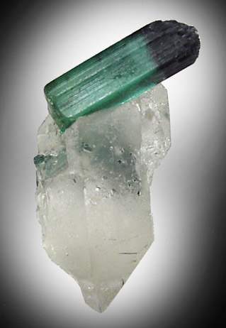 Elbaite Tourmaline on Quartz from Minas Gerais, Brazil
