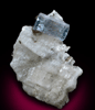 Fluorapatite on Albite from Minas Gerais, Brazil