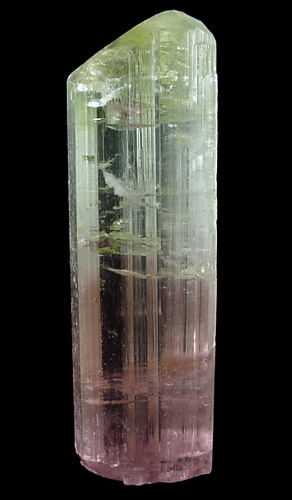 Elbaite Tourmaline from Kongai Darrah Pech, Kunar Province, Afghanistan