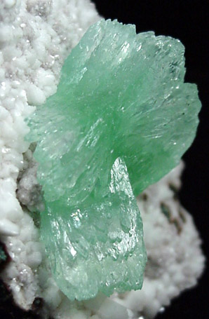 Apophyllite with Stilbite from Pashan Hills Quarry, near Poona, Maharastra, India