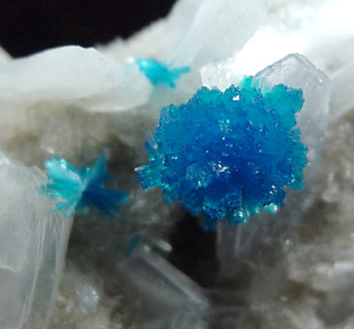 Cavansite on Stilbite from Wagholi Quarry, Maharashtra, India