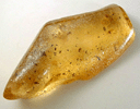 Amber with insect inclusions from Dominican Republic