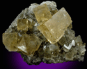 Fluorite from May Stone Quarry, Fort Wayne, Allen County, Indiana