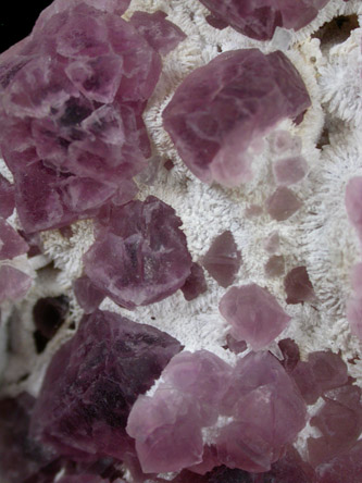 Fluorite in Quartz from Pine Canyon Deposit, Grant County, New Mexico