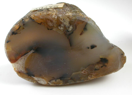 Quartz var. Agate from Wyoming