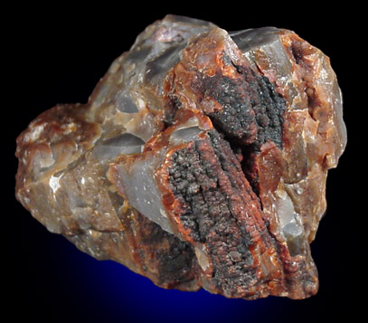 Quartz var. Petrified Wood from Holbrook, Navajo County, Arizona