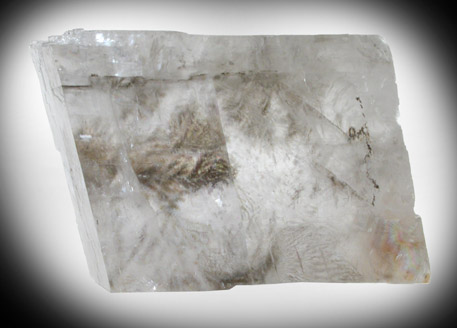 Calcite with Manganese dendritic inclusions from Mexico