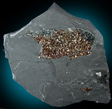 Pyrite from Frostburg, Allegany County, Maryland