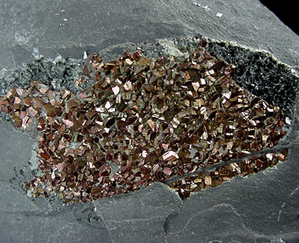 Pyrite from Frostburg, Allegany County, Maryland
