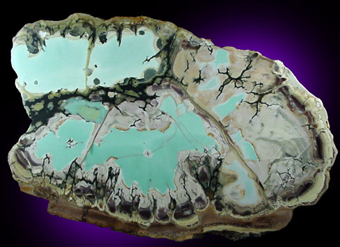 Variscite, Wardite, Crandallite from Little Green Monster Variscite Mine, Clay Canyon, Fairfield, Utah (Type Locality for Wardite)