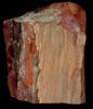 Quartz var. Petrified Wood from Navajo County, Arizona