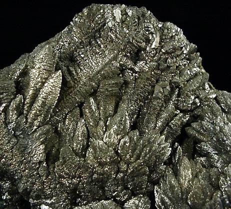Pyrite from Rensselaer Quarry, Pleasant Ridge, 6 km east of Rensselaer, Jasper County, Indiana