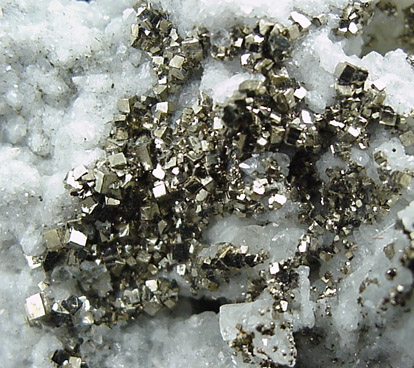 Pyrite on Calcite from Braen's Quarry, Haledon, Passaic County, New Jersey
