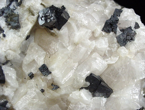 Galena in Calcite from Route 4 road cut west of George Washington Bridge, Fort Lee, Bergen County, New Jersey