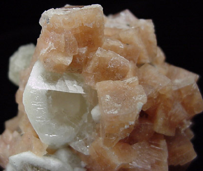 Chabazite and Datolite from Upper New Street Quarry, Paterson, Passaic County, New Jersey