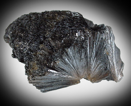 Goethite from Lake George district, Park County, Colorado