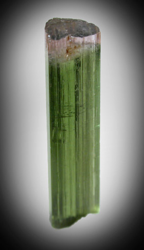 Elbaite Tourmaline from Gillette Quarry, Haddam Neck, Middlesex County, Connecticut