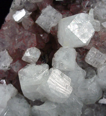 Apophyllite on Quartz from Prospect Park Quarry, Prospect Park, Passaic County, New Jersey