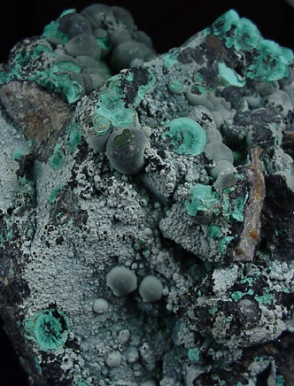 Malachite from Concepcin del Oro, Zacatecas, Mexico