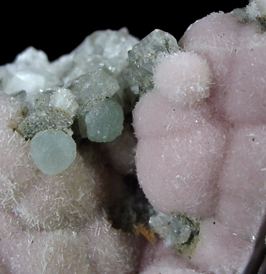 Pectolite with Prehnite from Millington Quarry, Bernards Township, Somerset County, New Jersey