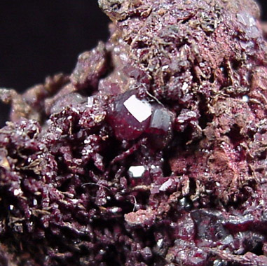 Cuprite on Copper from Liskeard, Cornwall, England