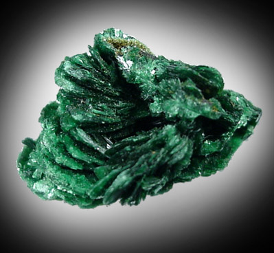 Torbernite from Katanga Mining District, Katanga Copperbelt, Haut-Katanga Province, Democratic Republic of the Congo