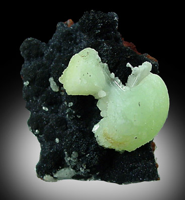 Adamite from Gold Hill Mine, Tooele County, Utah