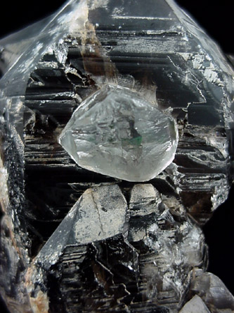 Topaz on Smoky Quartz from Mursinka, Ural Mountains, Russia